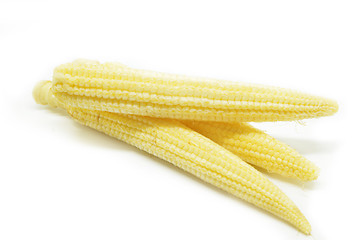 Image showing Baby corn cobs 