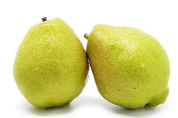 Image showing Chinese fragrant pear