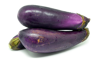 Image showing Eggplant or aubergine vegetable