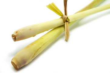 Image showing Fresh lemon grass on white background