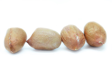 Image showing Processed peanuts isolated