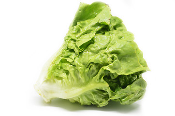 Image showing Green butter head lettuce