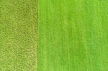 Image showing Cultivated and uncultivated land