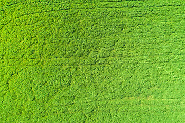 Image showing Farmers field from above