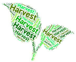 Image showing Harvest Word Shows Grain Produce And Text