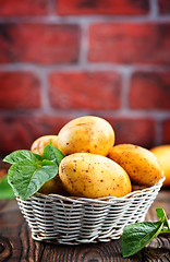 Image showing potato