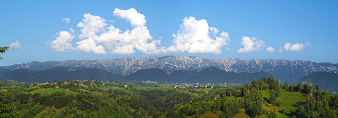 Image showing Stunning summer forest landscape in Romania