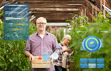 Image showing old couple with box of tomatoes at farm greenhouse