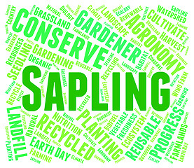 Image showing Sapling Word Means Tree Trunk And Cultivate