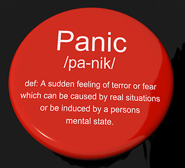 Image showing Panic Definition Button Showing Trauma Stress And Hysteria