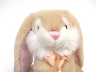 Image showing cute bunny rabbit toy