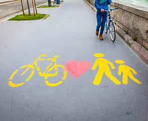 Image showing Bicycle signs painted on asphalt