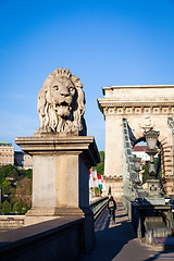 Image showing BUDAPEST, HUNGARY - 2017 MAY 19th: lion statue at the beginning 