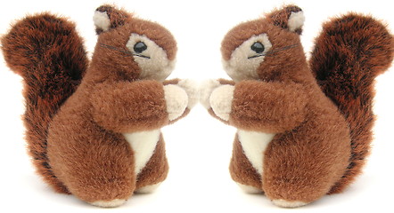 Image showing red squirrels