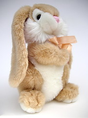 Image showing cute bunny rabbit toy