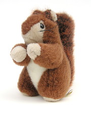 Image showing red squirrel