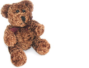 Image showing cute brown teddy  bear toy