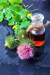 Image showing Flower and burdock extract