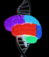 Image showing Brain and dna. 3d illustration. Anaglyph. View with red/cyan gla