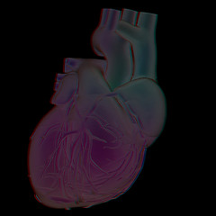 Image showing Human heart and veins. 3D illustration.. Anaglyph. View with red