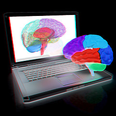 Image showing creative three-dimensional model of real human brain and scan on