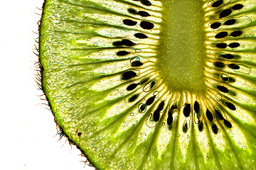 Image showing kiwi green background