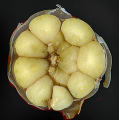 Image showing half of garlic