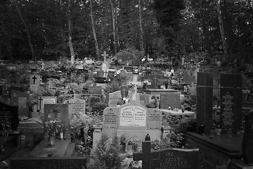 Image showing Graveyard in Poland