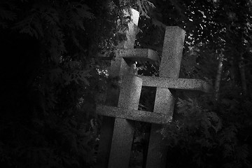 Image showing Graveyard in Poland