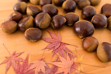 Image showing Autumn season with maple leaves and chestnut