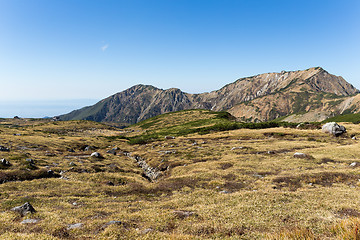 Image showing Autumn highland