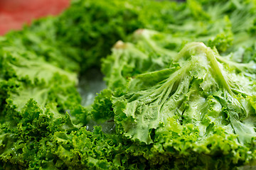 Image showing Fresh Lettuce cabbage green in wet market 