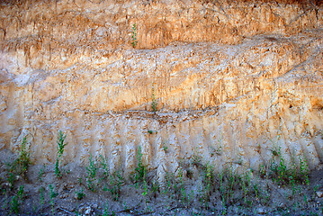 Image showing Clay quarry of yellow clay in summer time