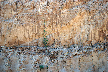 Image showing Clay quarry of yellow clay