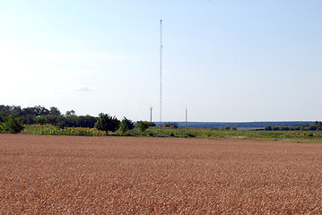 Image showing Wheat field and antenna for cellular communication