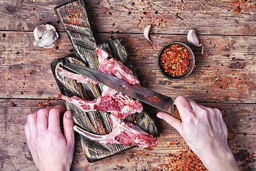 Image showing meat on the rib of lamb