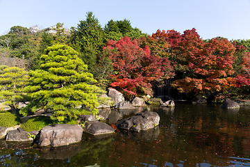 Image showing Autumn garden in Japan