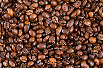 Image showing Roasted Coffee bean