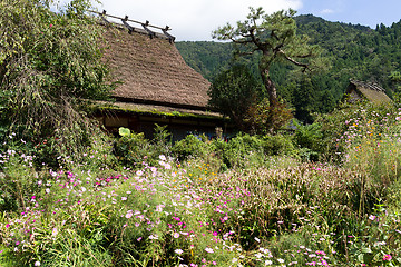 Image showing Shirakawago village 