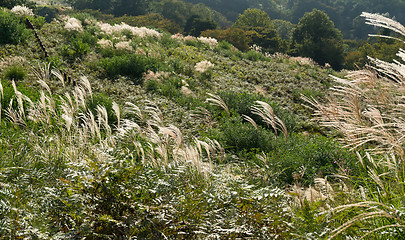 Image showing Mountain in autumn