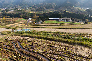 Image showing Countryside in Japan at autumn