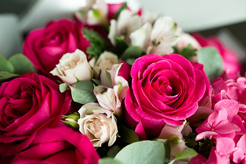 Image showing Soft color Roses 