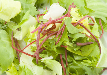 Image showing Green Salad