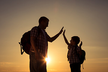 Image showing Father and son walking on the field at the sunset time.