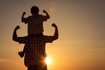 Image showing Father and son walking on the field at the sunset time.