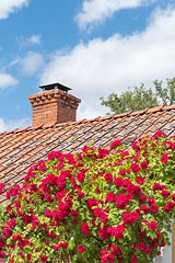 Image showing Red roses by a tiled roof