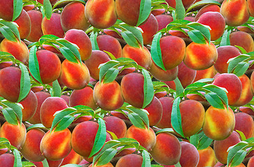 Image showing Peach Seamless Pattern