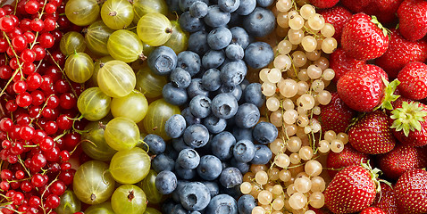 Image showing various berries background