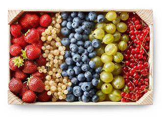 Image showing wooden box of various berries