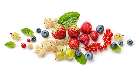 Image showing composition of various berries